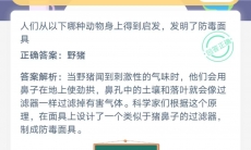 防毒面具在哪种动物上得到启发_支付宝蚂蚁庄园小课堂6月27日答案是什么