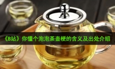 你懂个泡泡茶壶是什么梗_你懂个泡泡茶壶梗的含义及出处介绍