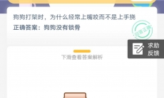 狗狗打架时为什么经常上嘴咬而不是用手挠_支付宝蚂蚁庄园5月24日答题答案是什么