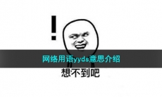 yyds是什么意思_网络用语yyds意思介绍