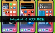 widgetsmith怎么设置中文_中文设置教程