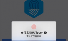 支付宝怎么添加指纹支付_支付宝怎么添加指纹支付密码