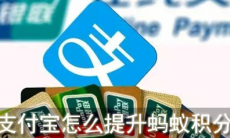 支付宝蚂蚁积分怎么提高_支付宝蚂蚁积分怎么获得