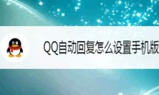 手机QQ怎么设置自动回复消息_手机QQ设置消息自动回复步骤