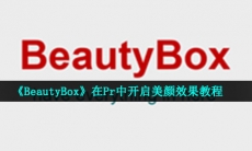 beautybox可以瘦脸吗-在Pr中开启美颜效果教程