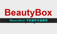 beautybox插件怎么安装-手机插件安装教程